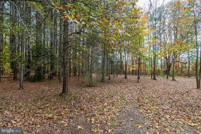 24653 McInturff Road, Dames Quarter, MD 21821 - Photo 8