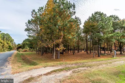 24653 McInturff Road, Dames Quarter, MD 21821 - Photo 44