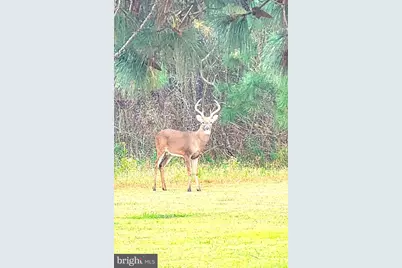 27351 Phoenix Church Road, Marion Station, MD 21838 - Photo 32