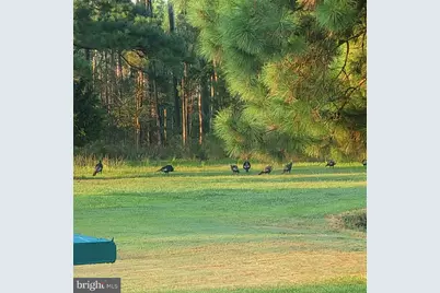 27351 Phoenix Church Road, Marion Station, MD 21838 - Photo 38