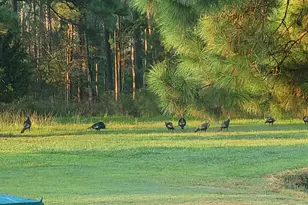 27351 Phoenix Church Rd, Marion Station, MD 21838 - Photo 38