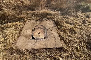 4695 Green Rd, Marion Station, MD 21838 - Photo 18