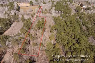 0 Polks Rd, Princess Anne, MD 21853 - Photo 4