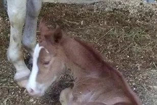 14135 Cooley Rd, Princess Anne, MD 21853 - Photo 14