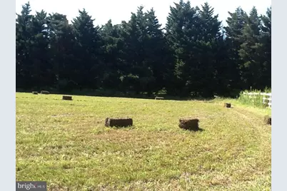 14135 Cooley Road, Princess Anne, MD 21853 - Photo 12