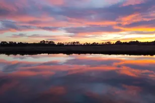 9554 Millard Long Rd, Westover, MD 21871 - Photo 2