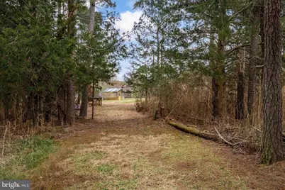 9554 Millard Long Road, Westover, MD 21871 - Photo 42