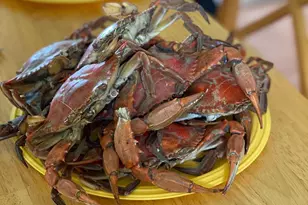 23212 Haines Point Rd, Chance, MD 21821 - Photo 52