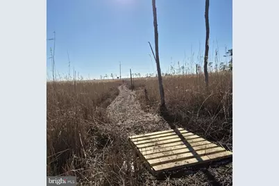 007 Mt. Vernon Road, Princess Anne, MD 21853 - Photo 24