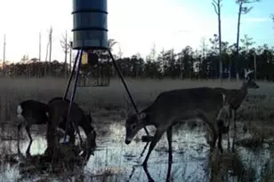 007 Mt Vernon Rd, Princess Anne, MD 21853 - Photo 1