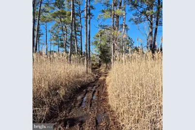 007 Mt. Vernon Road, Princess Anne, MD 21853 - Photo 28