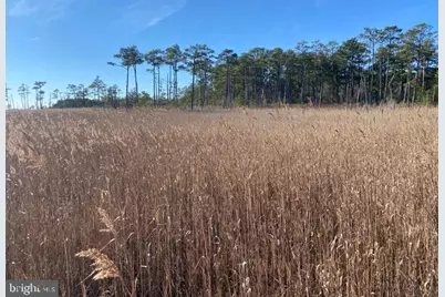 007 Mt. Vernon Road, Princess Anne, MD 21853 - Photo 62