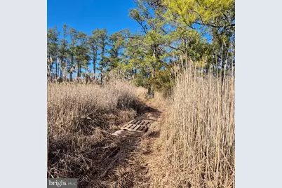 007 Mt. Vernon Road, Princess Anne, MD 21853 - Photo 8