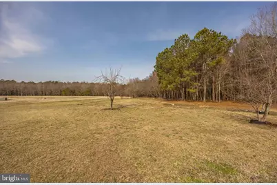 14470 & 14450 Backbone Road, Eden, MD 21822 - Photo 46