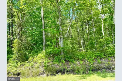 0 Anderson Road, Princess Anne, MD 21853 - Photo 4