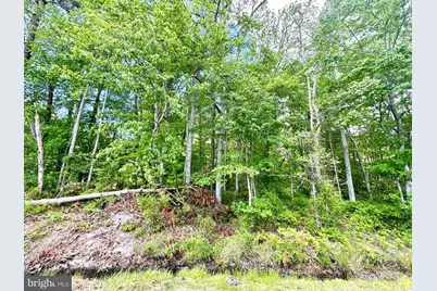 0 Anderson Road, Princess Anne, MD 21853 - Photo 10