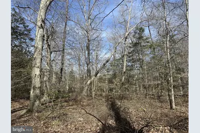 0 Peggy Neck Road, Princess Anne, MD 21853 - Photo 12