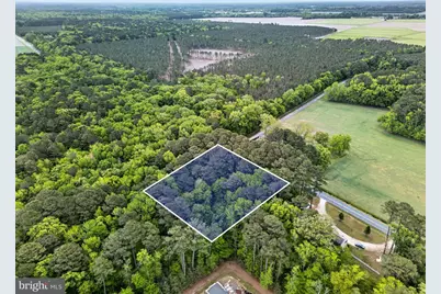 Parcel 40 Revells Neck Road, Westover, MD 21871 - Photo 16