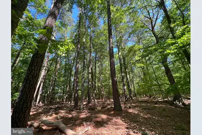 Parcel 40 Revells Neck Road, Westover, MD 21871 - Photo 4