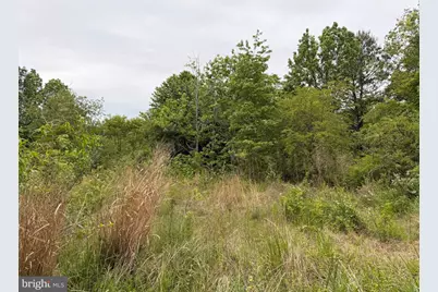 23686 Earl Webster Road, Chance, MD 21821 - Photo 10