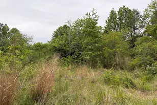 23686 Earl Webster Rd, Chance, MD 21821 - Photo 10