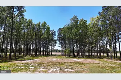 4981 Tulls Corner Rd, Marion Station, MD 21838 - Photo 8