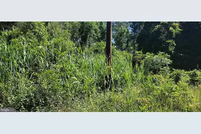 4064 Back Shelltown Road, Marion Station, MD 21838 - Photo 2
