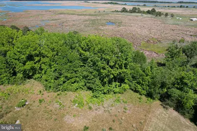 Parcel 228 Fishhook Lane, Deal Island, MD 21821 - Photo 4