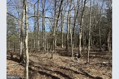 0 Peggy Neck Road, Princess Anne, MD 21853 - Photo 14