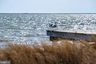 1 Lavallette, Crisfield, MD 21817 - Photo 86