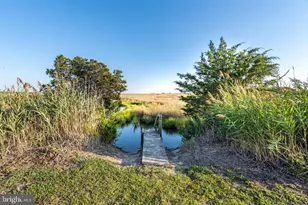 14 Hammock Pointe, Crisfield, MD 21817 - Photo 4
