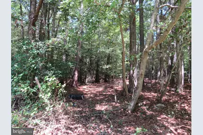 5249 Tulls Road, Marion Station, MD 21838 - Photo 38