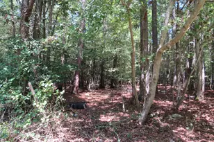 5249 Tulls Rd, Marion Station, MD 21838 - Photo 38