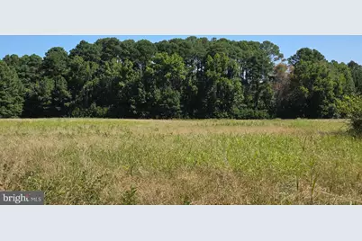 Roland Parks Road, Chance, MD 21821 - Photo 8