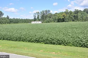 7273 Mennonite Church Rd, Westover, MD 21871 - Photo 30