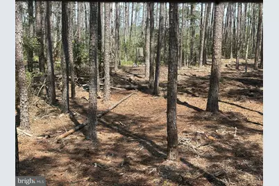 0 Rumbly Point Road, Marion Station, MD 21838 - Photo 42
