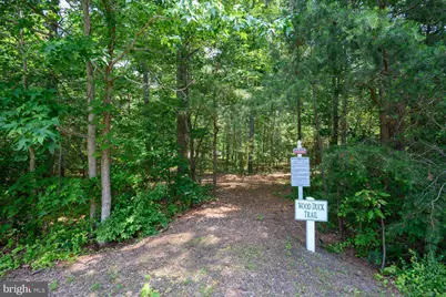 24977 Back Creek Drive, Saint Michaels, MD 21663 - Photo 70
