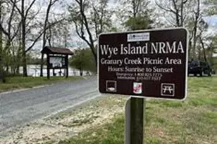 11340 Longwoods Rd, Easton, MD 21601 - Photo 44