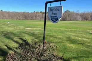 11340 Longwoods Rd, Easton, MD 21601 - Photo 2