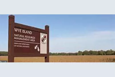 11340 Longwoods Road, Easton, MD 21601 - Photo 42