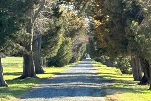 10770 Rich Nck Rd, Claiborne, MD 21624 - Photo 58