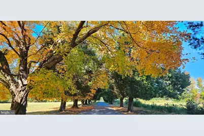 10770 Rich Neck Road, Claiborne, MD 21624 - Photo 80