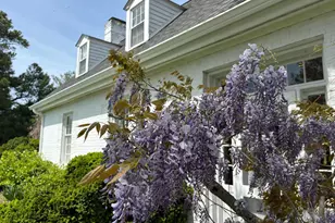 10770 Rich Nck Rd, Claiborne, MD 21624 - Photo 88