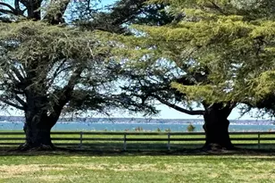 10770 Rich Nck Rd, Claiborne, MD 21624 - Photo 44