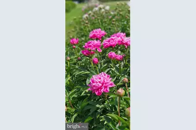 10770 Rich Neck Road, Claiborne, MD 21624 - Photo 76