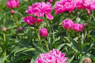 10770 Rich Nck Rd, Claiborne, MD 21624 - Photo 76