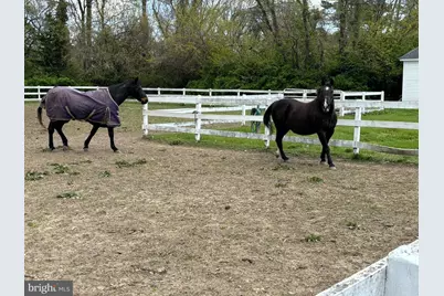 10770 Rich Neck Road, Claiborne, MD 21624 - Photo 86