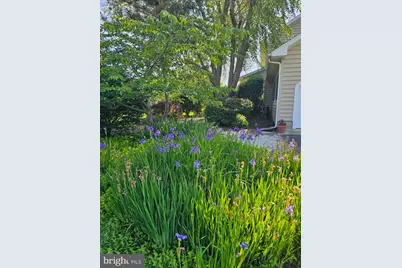 24749 Swan Road, Saint Michaels, MD 21663 - Photo 38