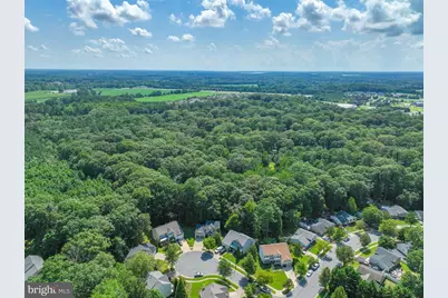 7144 Fir Street, Easton, MD 21601 - Photo 4