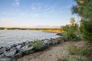 24390 Deep Neck Farm Ln, Royal Oak, MD 21662 - Photo 100